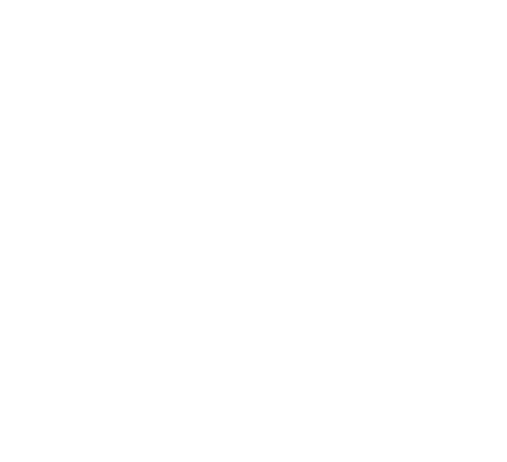 Canadian International School of Paris - École Canadienne Internationale Paris - Logo